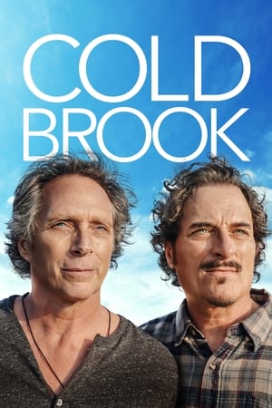 Холодный ручей онлайн