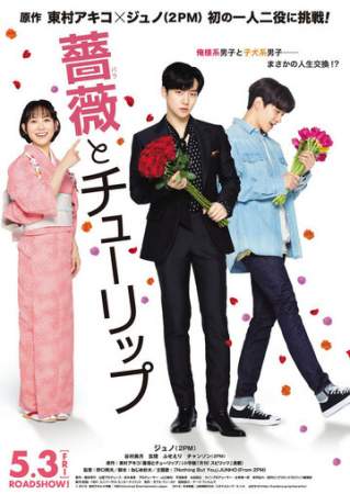 Роза и тюльпан онлайн
